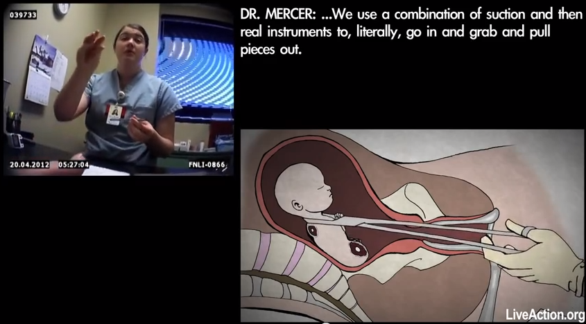 screen-shot-2014-12-11-at-9-35-51-am