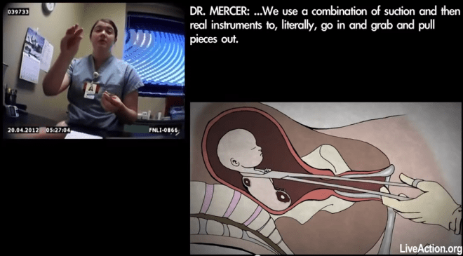 screen-shot-2014-12-11-at-9-35-51-am